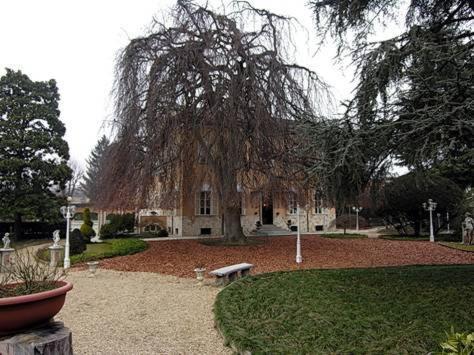 Trofarello Park Hotel Villa Salzea מראה חיצוני תמונה