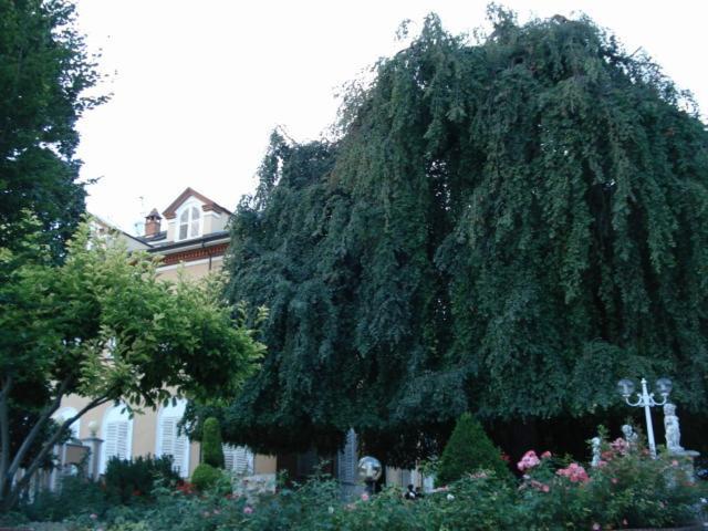 Trofarello Park Hotel Villa Salzea מראה חיצוני תמונה