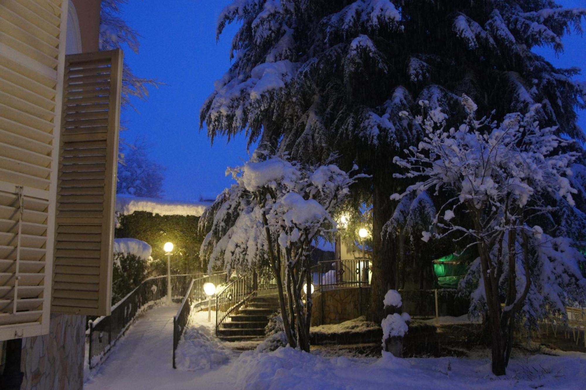 Trofarello Park Hotel Villa Salzea מראה חיצוני תמונה